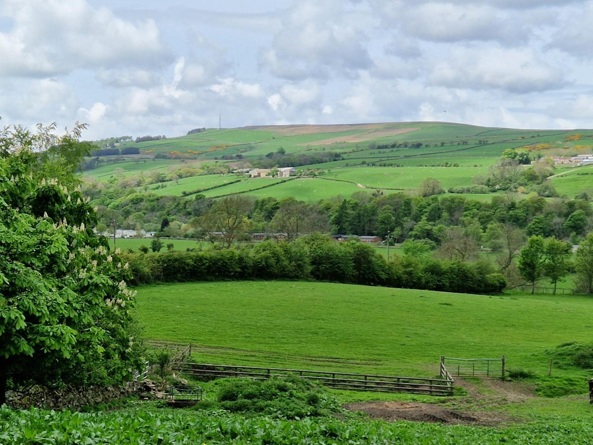 Wolsingham The Den, Coves Houseヴィラ エクステリア 写真